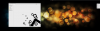 20120212164447-2093.png